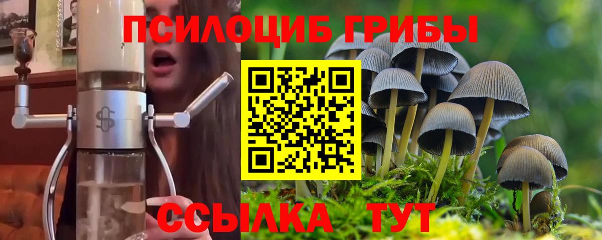 Магнитогорск  Галлюциногенные грибы мицелий  Галлюциногенные грибы Psilocybe  Вход с VPN 